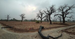 A somber landscape reflecting the aftermath of violence in Nigeria, featuring abandoned farmland under a gray sky.