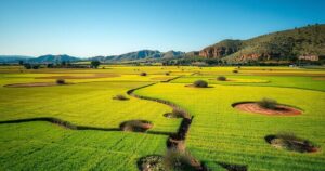 A serene Angolan landscape with a minefield under a clear blue sky, symbolizing peace and restoration efforts.