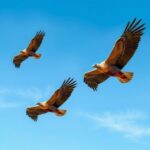 A landscape depicting vultures soaring against a clear blue sky over South African plains.