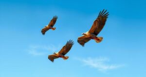 A landscape depicting vultures soaring against a clear blue sky over South African plains.